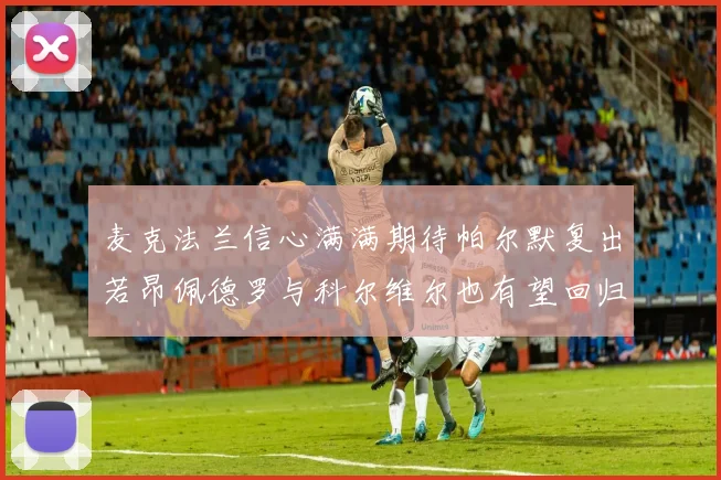 麦克法兰信心满满期待帕尔默复出若昂佩德罗与科尔维尔也有望回归