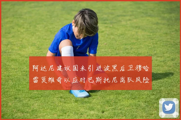 阿达尼建议国米引进波黑后卫穆哈雷莫维奇以应对巴斯托尼离队风险